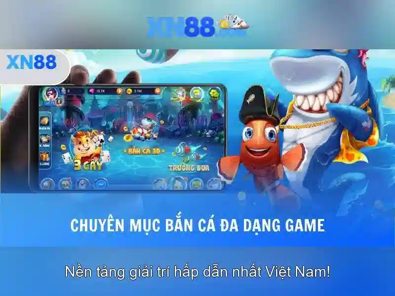 Thông tin kỹ thuật động thời gian thực
